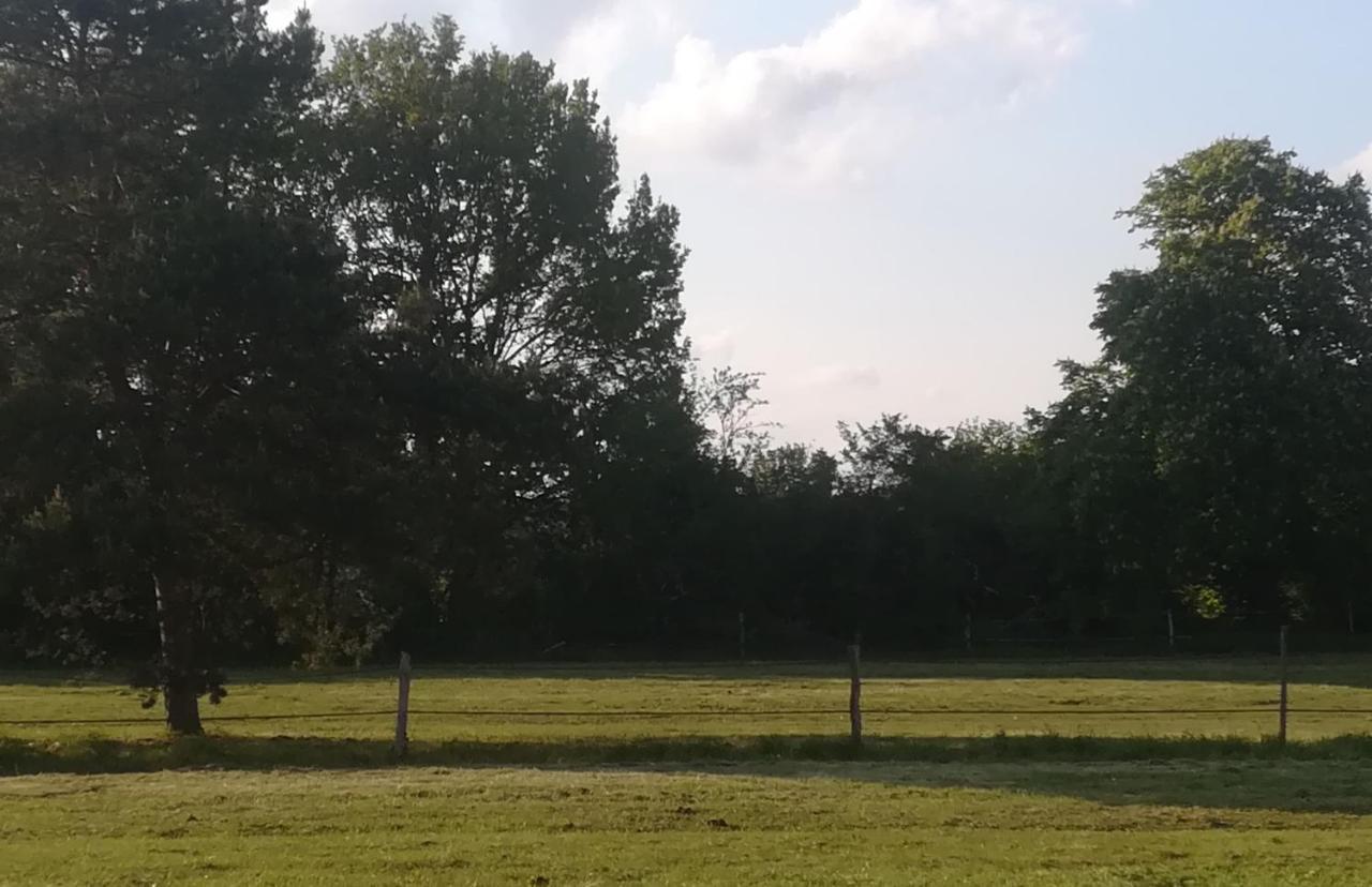 Les Pres Du Petit Morlu - Proche Beauval Villa Saint-Romain-sur-Cher Kültér fotó
