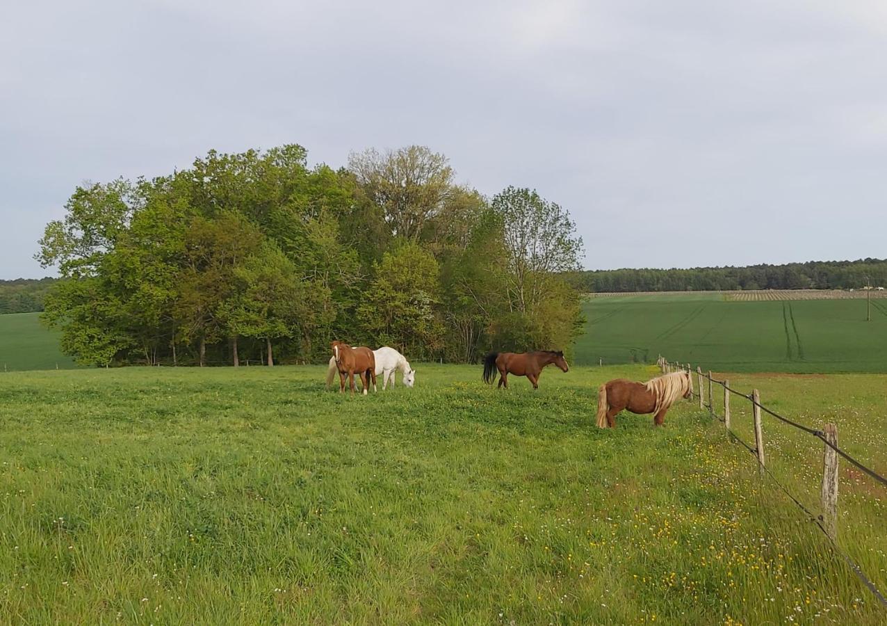 Les Pres Du Petit Morlu - Proche Beauval Villa Saint-Romain-sur-Cher Kültér fotó