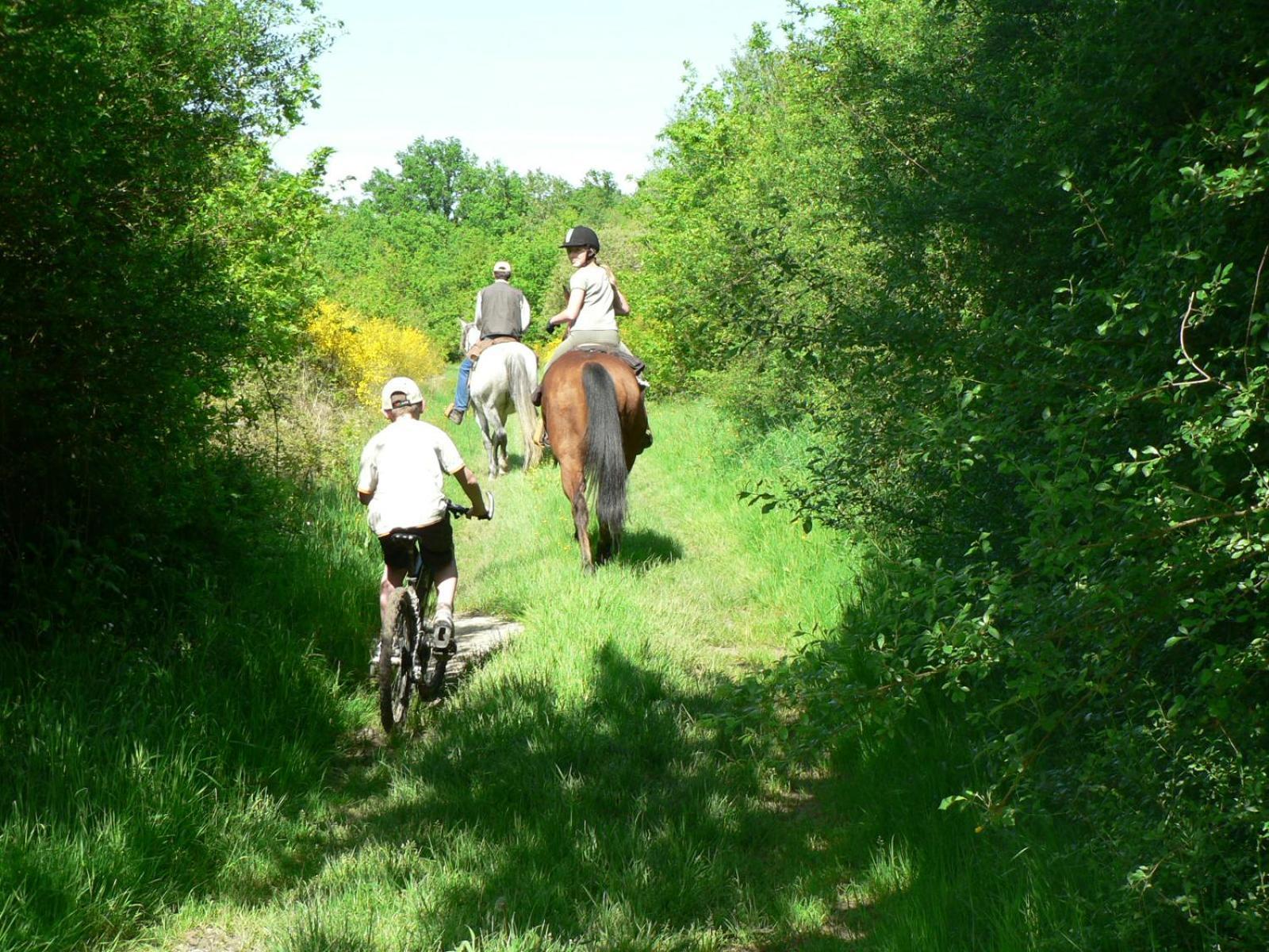 Les Pres Du Petit Morlu - Proche Beauval Villa Saint-Romain-sur-Cher Kültér fotó